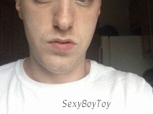 SexyBoyToy