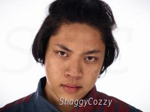 ShaggyCozzy