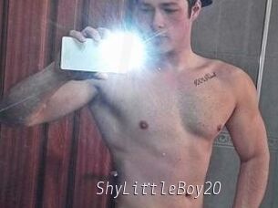 ShyLittleBoy20