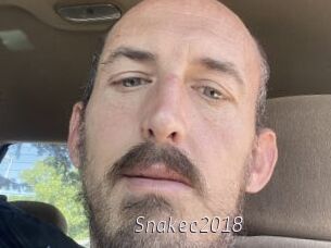 Snakec2018