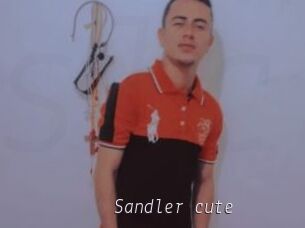 Sandler_cute