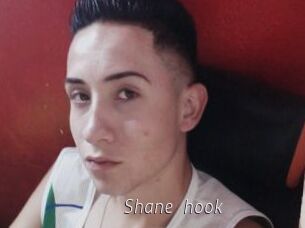 Shane_hook