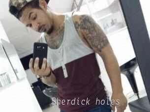 Sherdick_holes