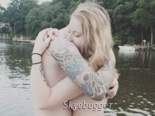 Skyebugger