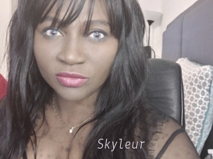 Skyleur