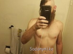 Sodomymike