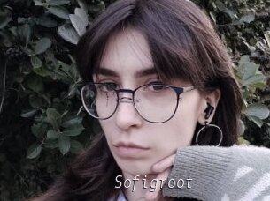 Sofigroot