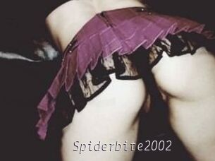 Spiderbite2002