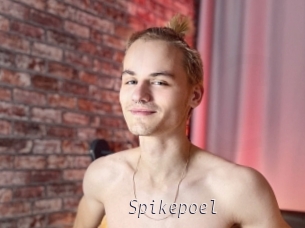 Spikepoel