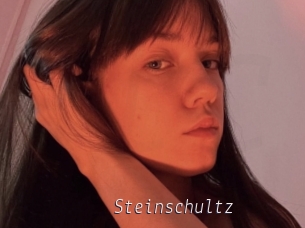 Steinschultz