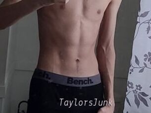 TaylorsJunk