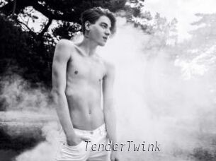 TenderTwink