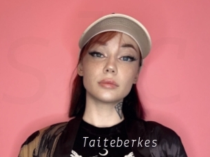 Taiteberkes