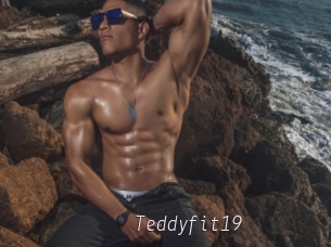 Teddyfit19