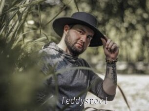 Teddysteel