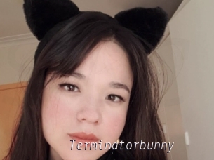 Terminatorbunny