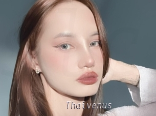 Thaivenus