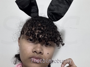 Thatbimbobunny